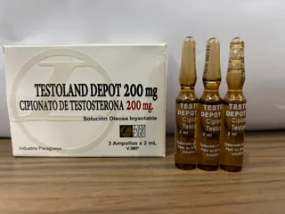 Lander Testoland 200 mg. 3amp. x 2ml.