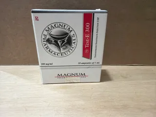 Magnum Testosterona Enantato Ampolla 10 ml x 300 mg 2028